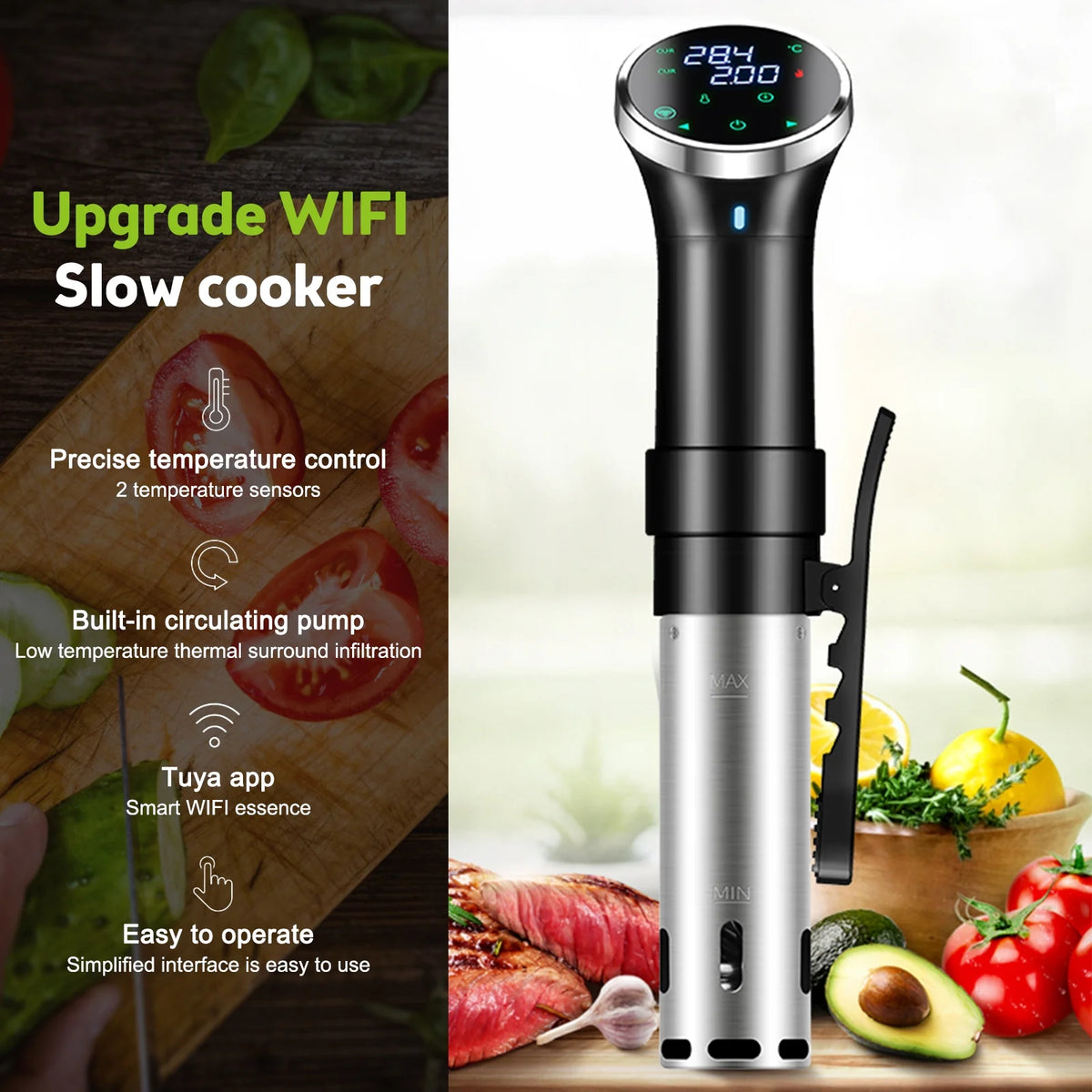 1100 WiFi Sous Cooker V6100