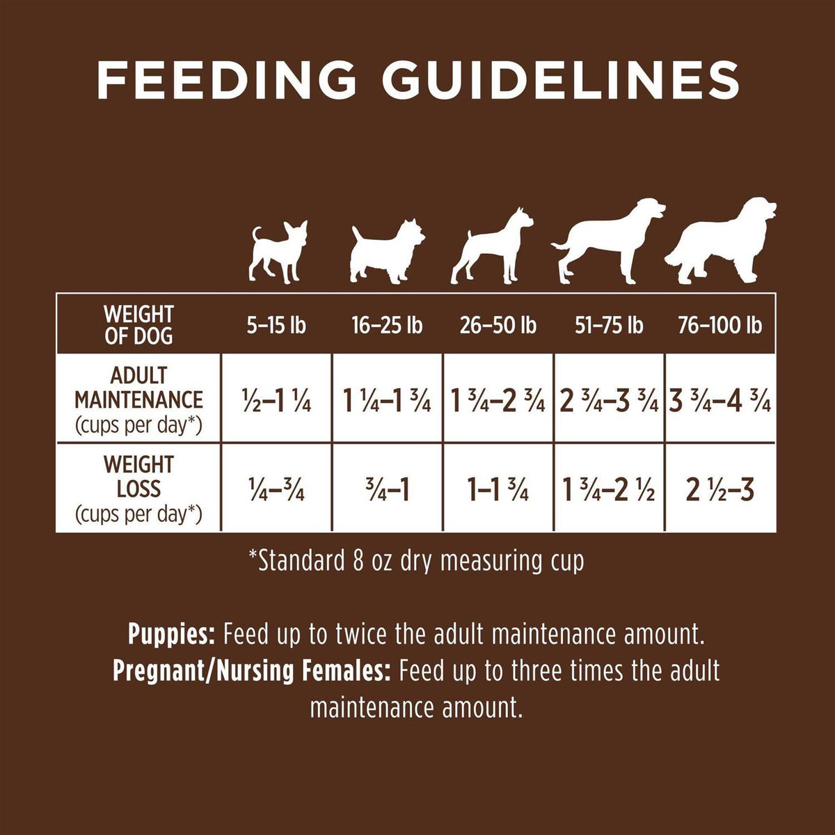 Chicken & Brown Rice Recipe Dry Dog Food M92747