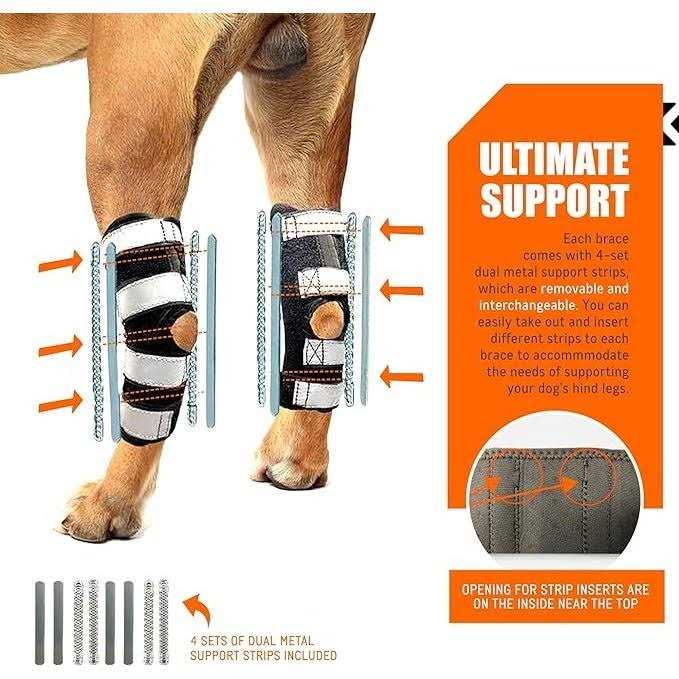 3-in-1 Long Rear Leg Support Dog Splint Braces Q798230
