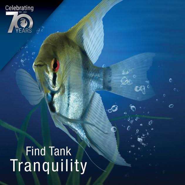 Water Clarifier Y7176