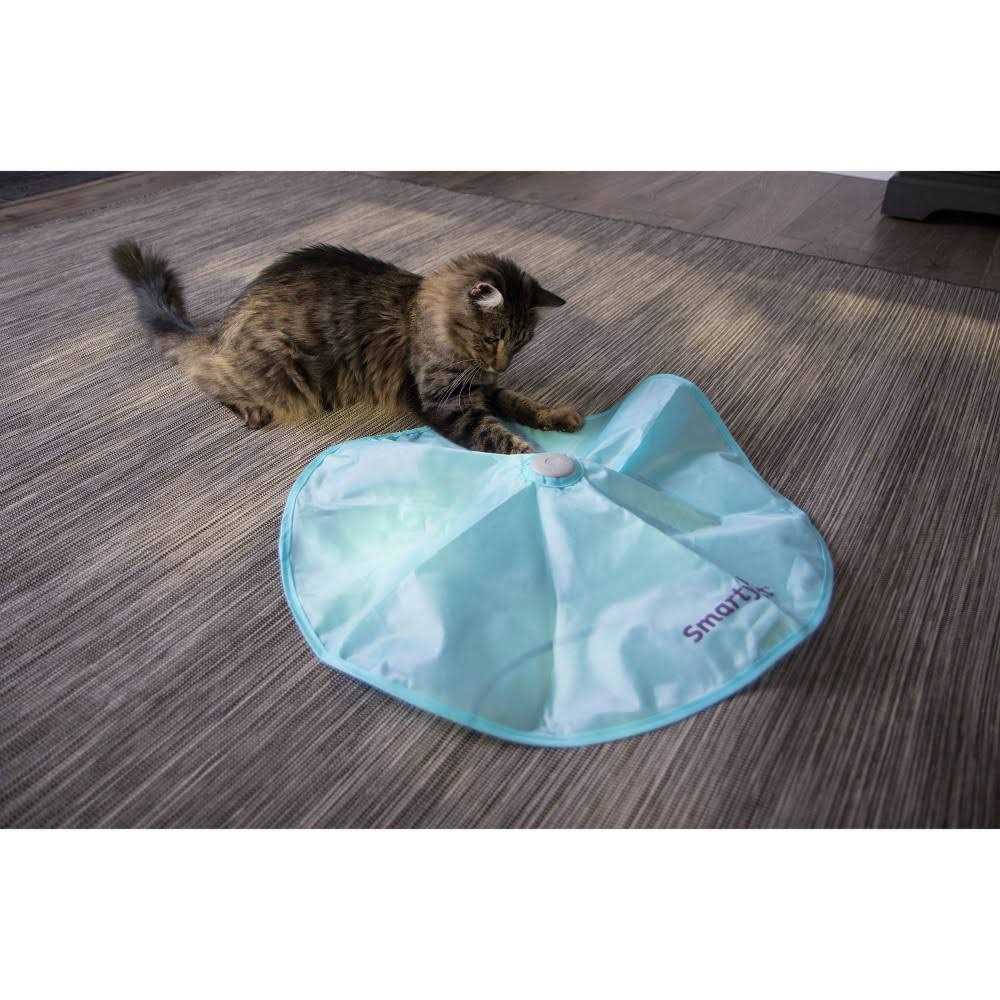 Electronic Motion Cat Toy B520920