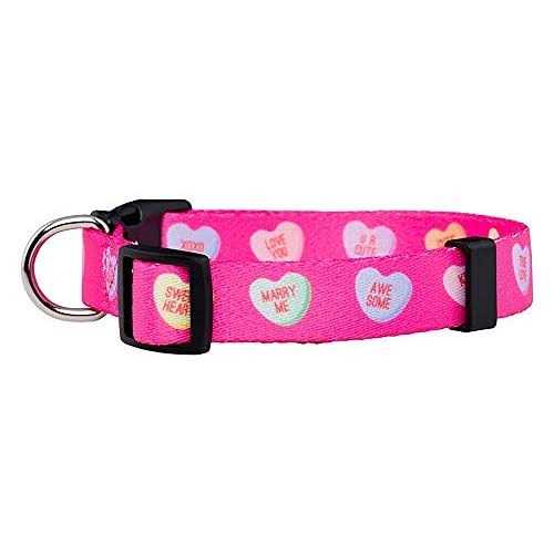 Valentines Day Heart Dog Collar X3649