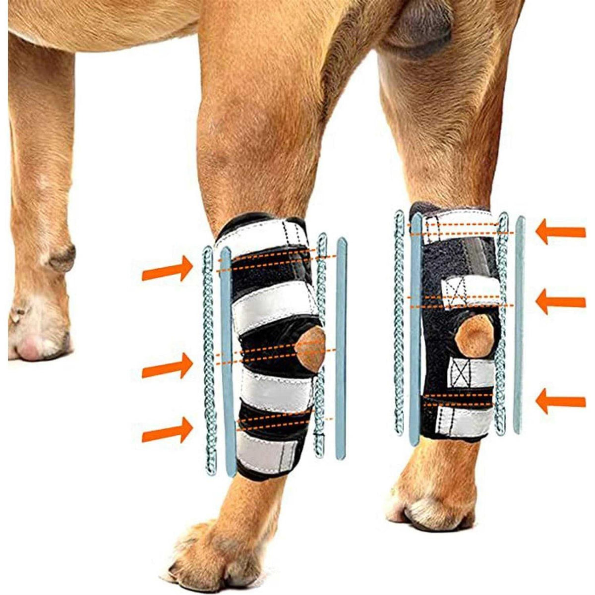 3-in-1 Long Rear Leg Support Dog Splint Braces Q798230