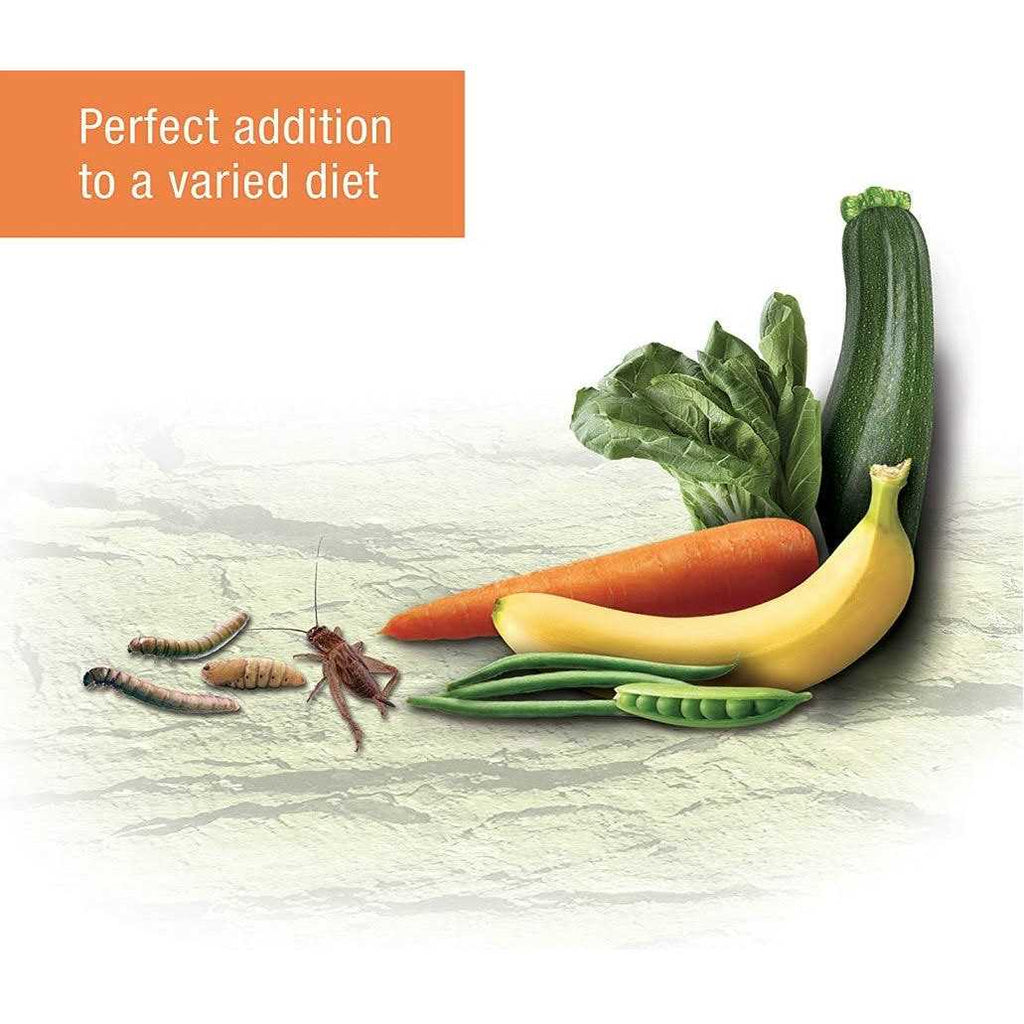 Reptile Munchies Omnivore Mix with Calcium C570