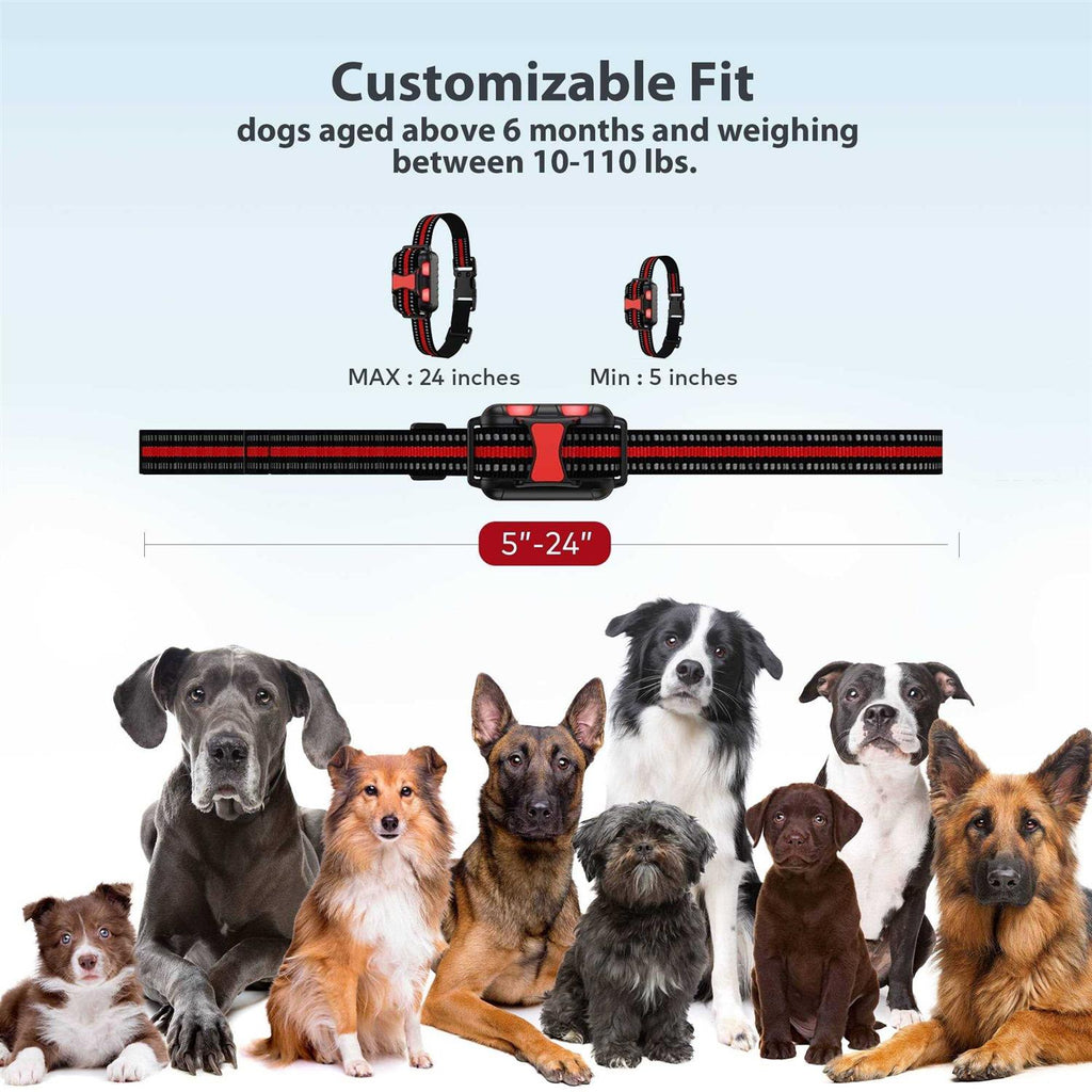 Remote Dog Training Shock Collar System B8773