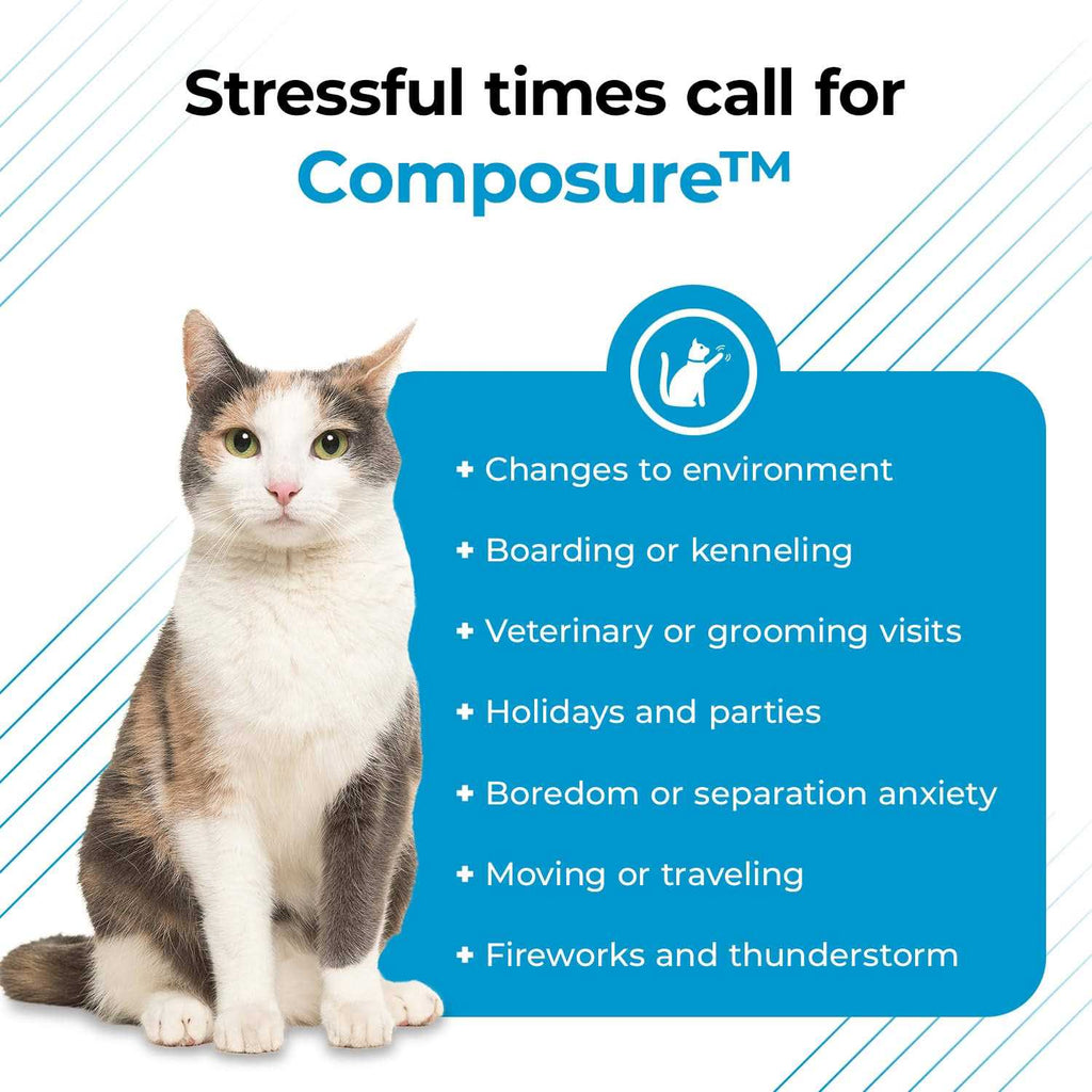 Cat Supplement O594888