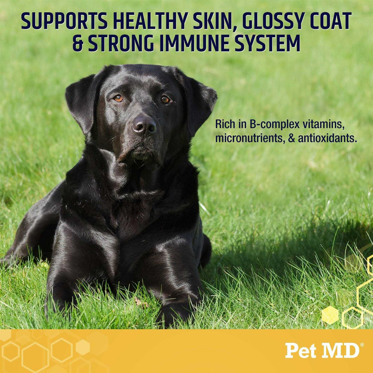 Garlic & Brewers Yeast for Dogs & Cats P82217