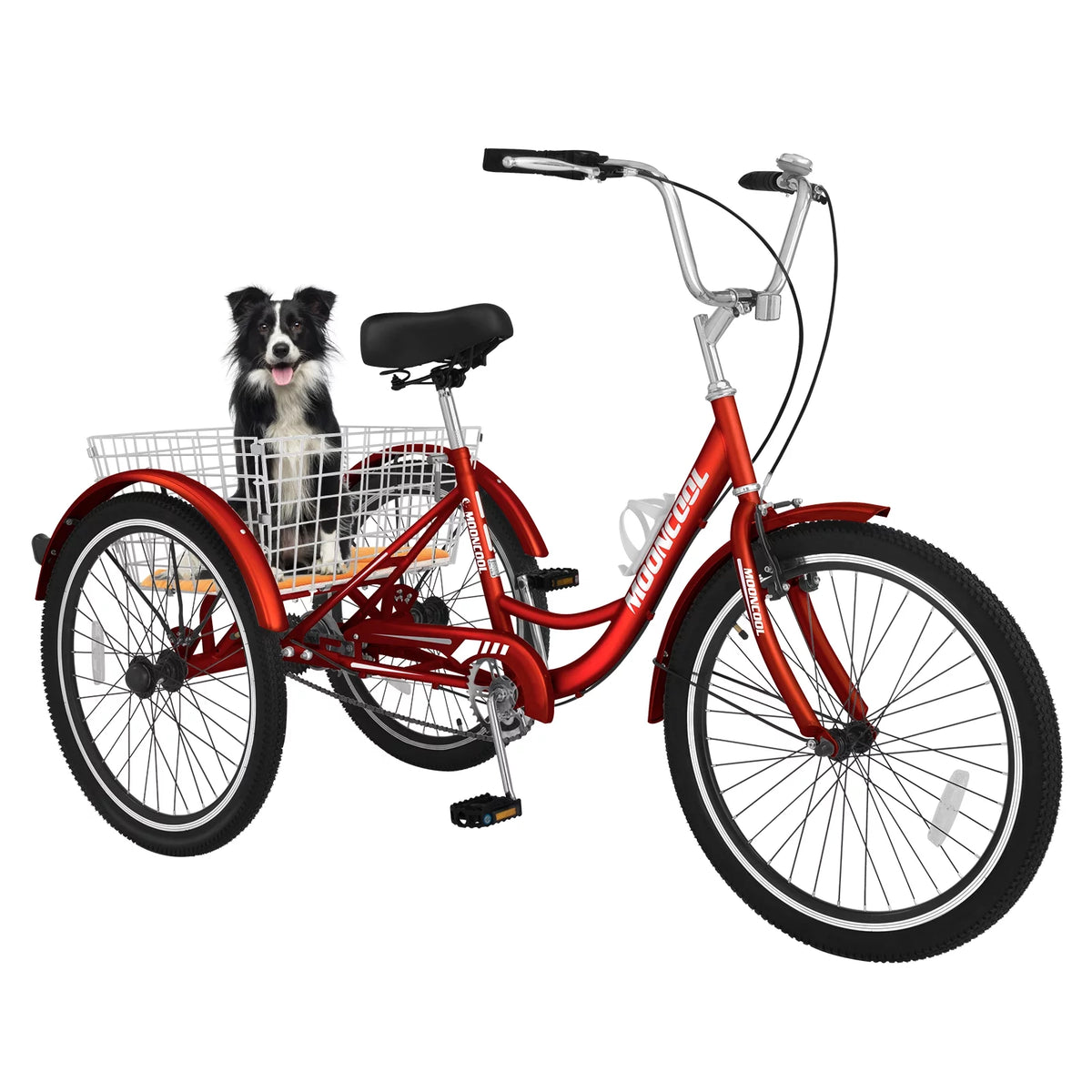 24 Single Speed Tricycle with Large Basket Q136340