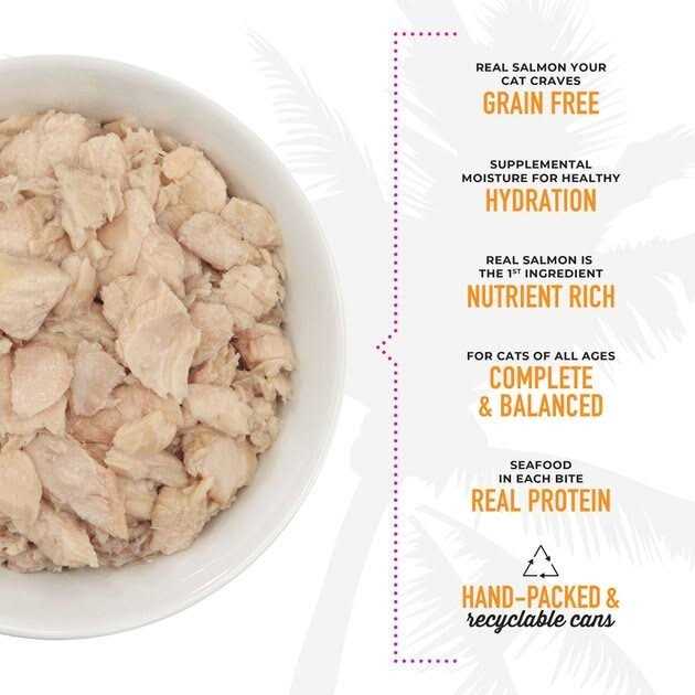 Wild Salmon Cat Food A51151