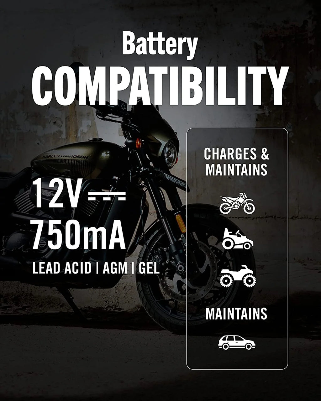 12V 750mA Automatic Battery Charger and Maintainer F259760