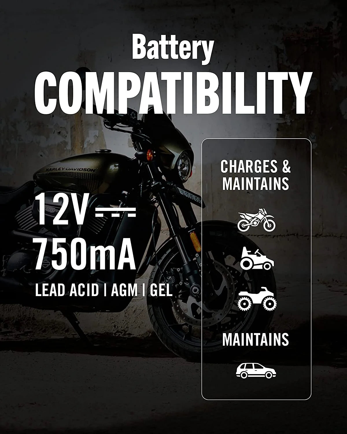 12V 750mA Automatic Battery Charger and Maintainer F259760