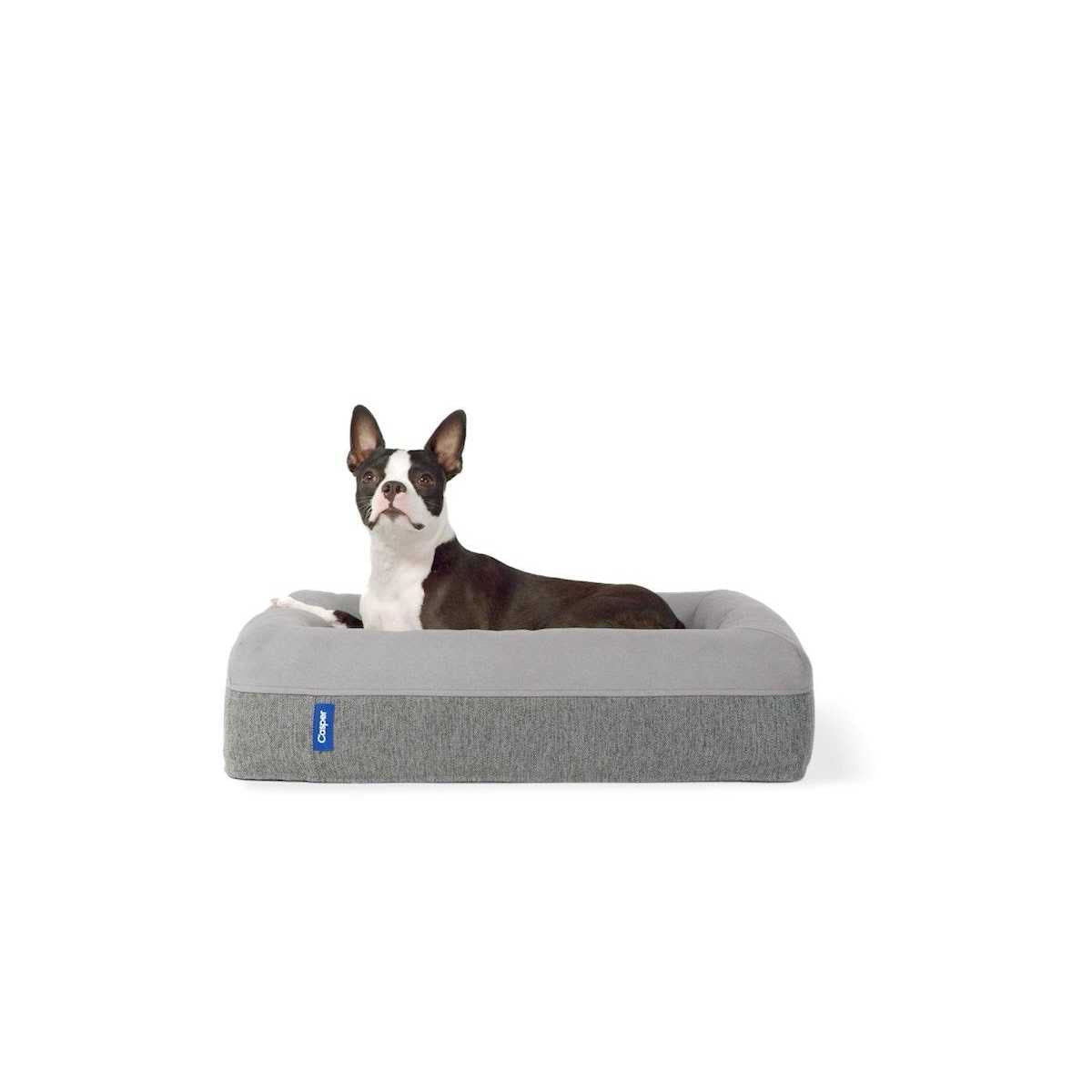 Dog Bed L764271
