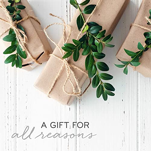 Frasier Fir Reed Diffuser Set Y116