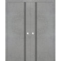 Sliding French Double Pocket Doors 48 x 84 inches Solid Wood Interior Doors B851027