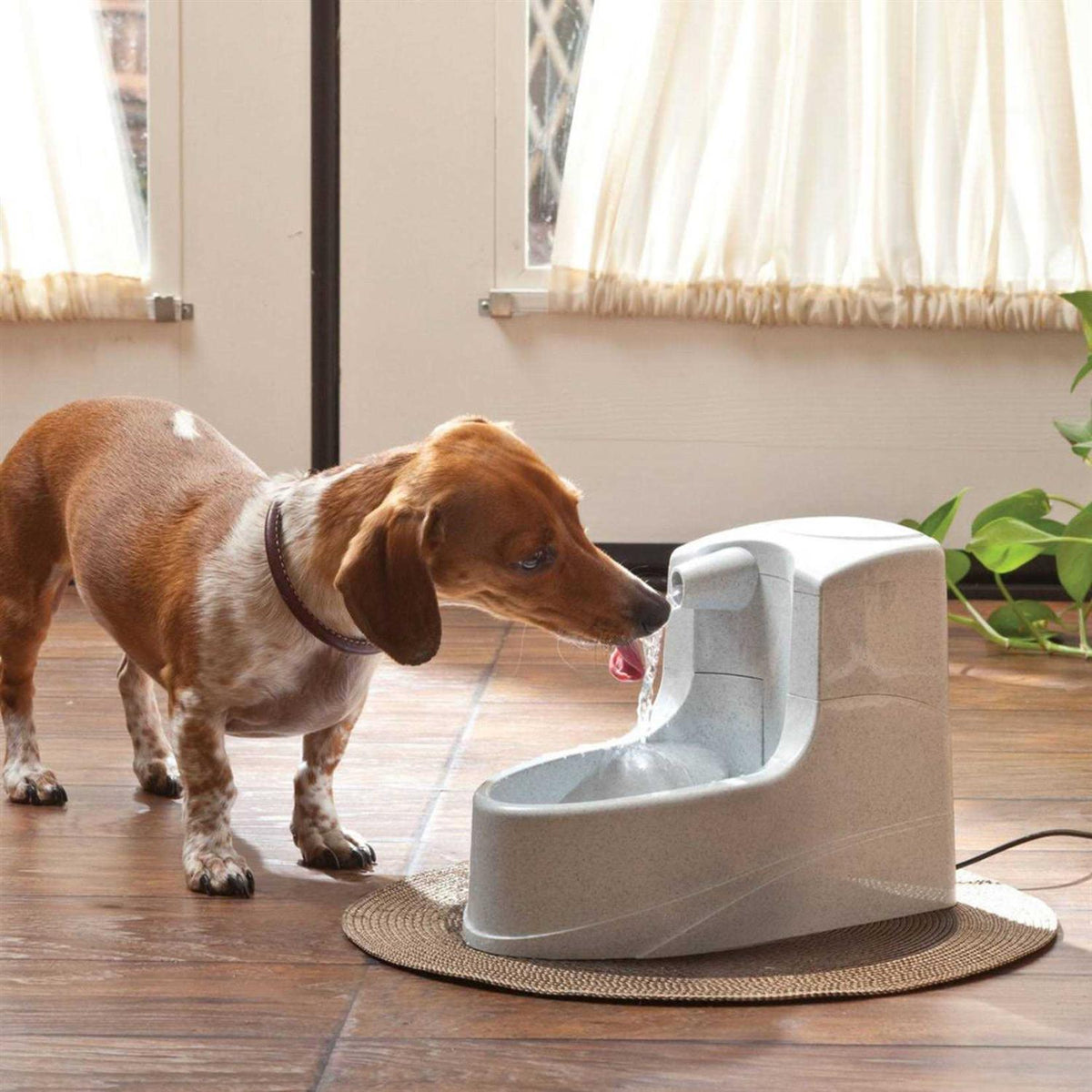 1.2L Pet Fountain N69855
