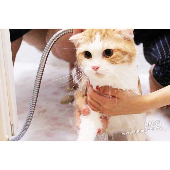 Pet Shampoo V55672