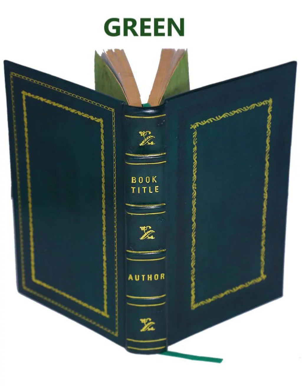 Genealogy of the Doty-Doten Family in America Volume 2 Leather Bound H7055