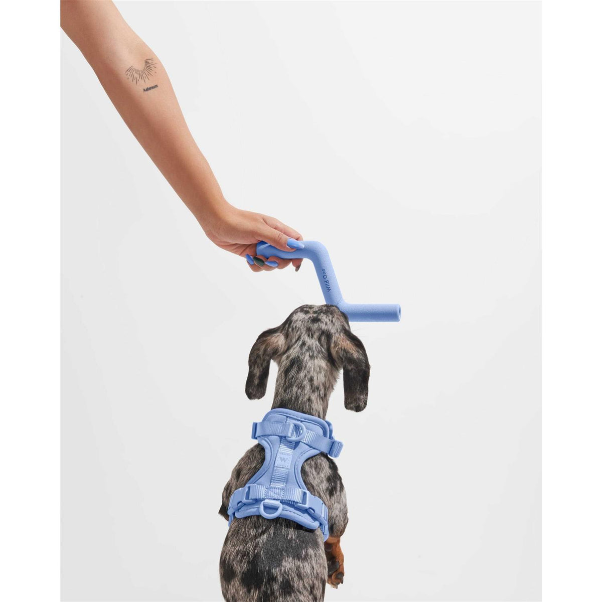 Bolt Bite Dog Toy S58839