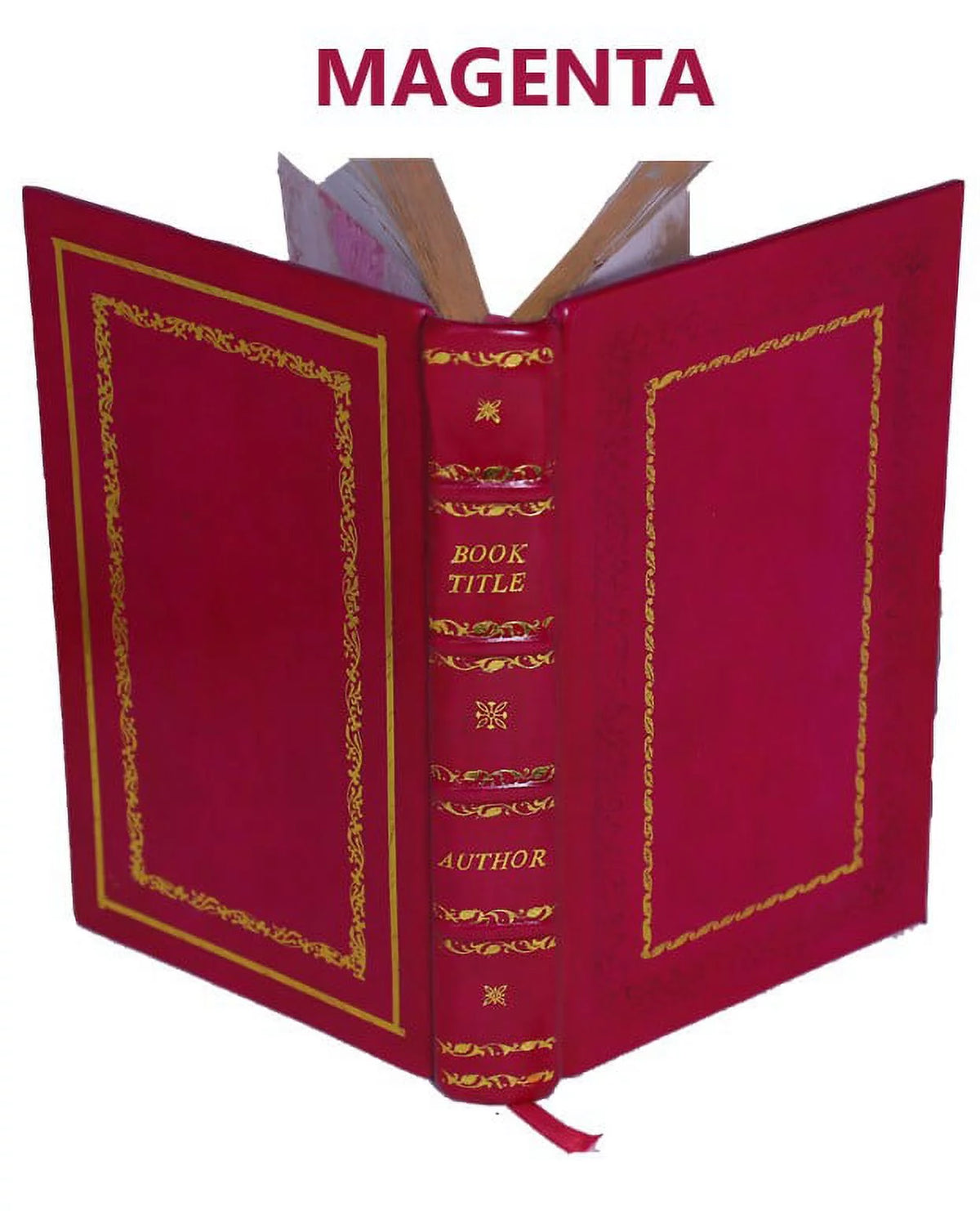 Genealogy of the Doty-Doten Family in America Volume 2 Leather Bound H7055