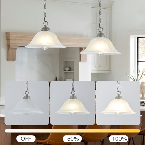 Black Hanging Pendant Light with Alabaster Glass Shade D35225