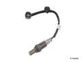 Oxygen Sensor P630490