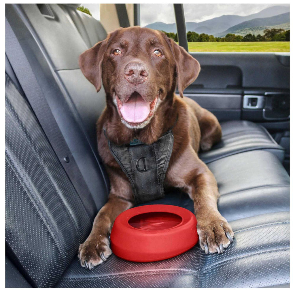 Water Bowl U22057