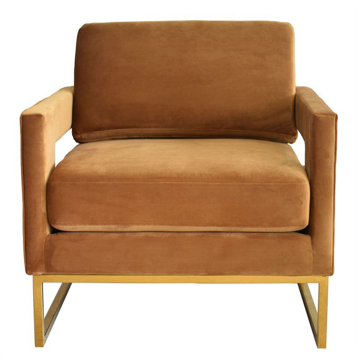Velvet & Stainless Steel Accent Chair X711