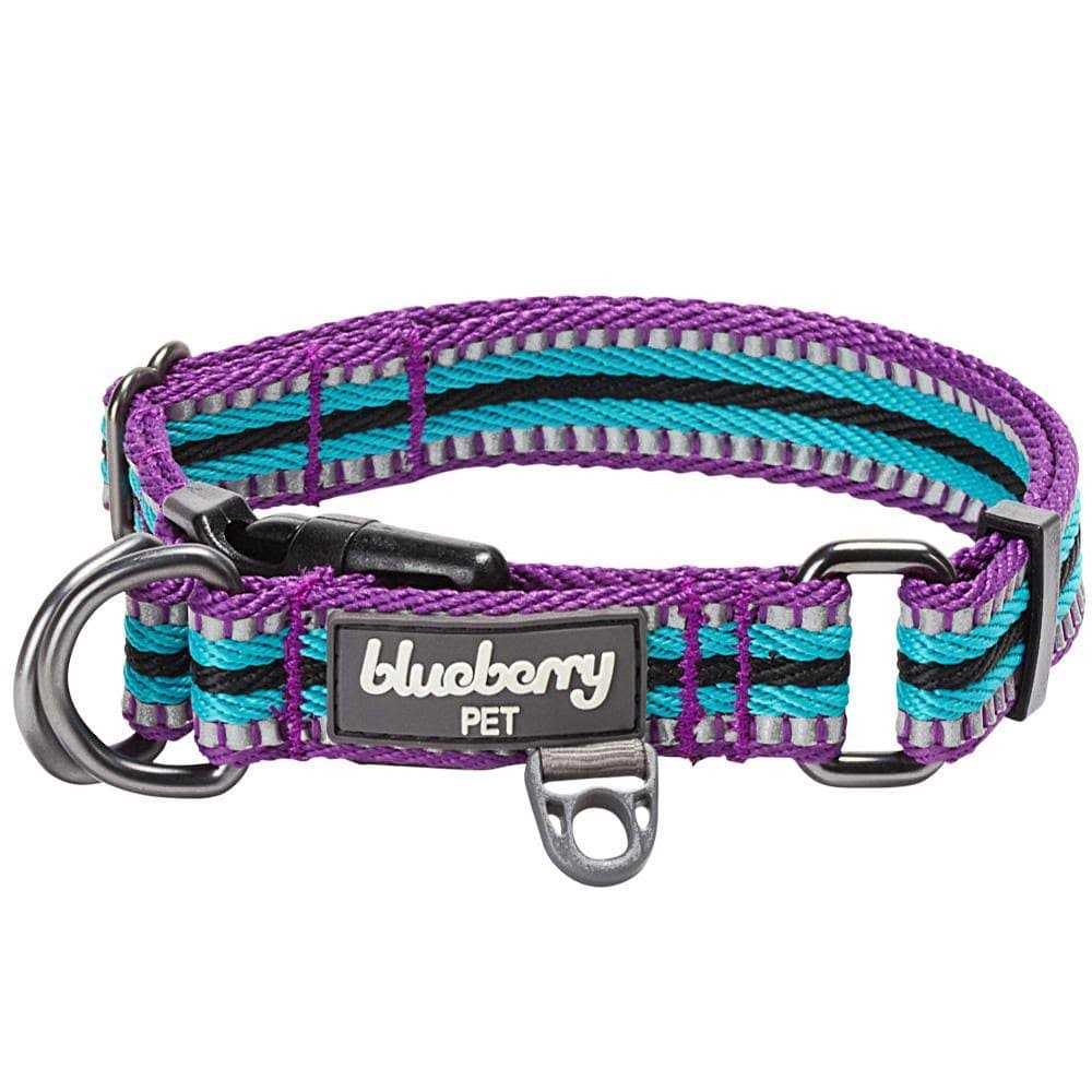 Reflective Dog Collar Q562904