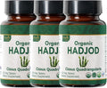 120 Tablets Cissus Quadrangularis Organic Vegan B7459