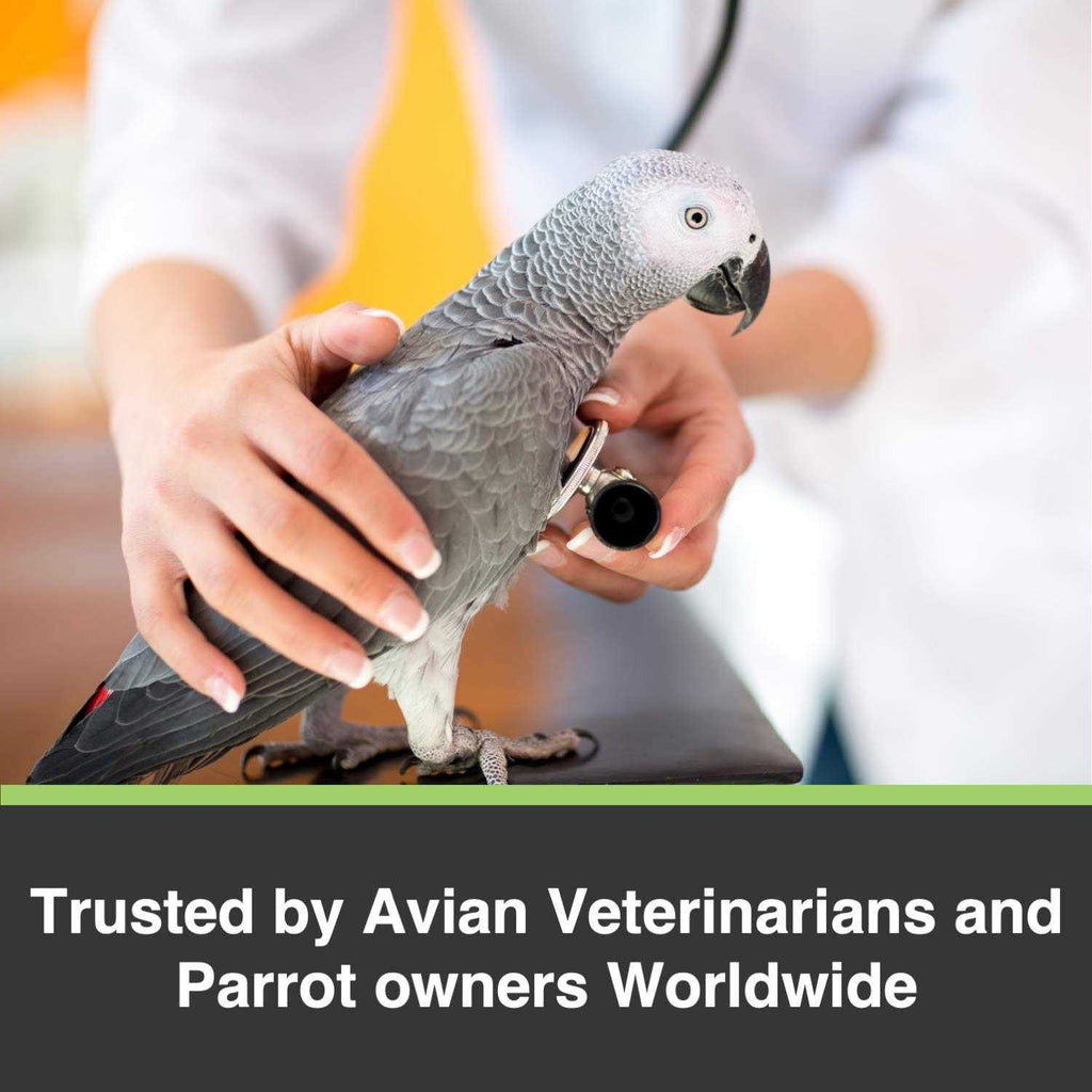 Cockatiel Lovebird V849