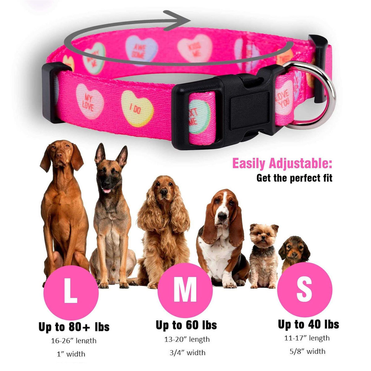 Valentines Day Heart Dog Collar X3649
