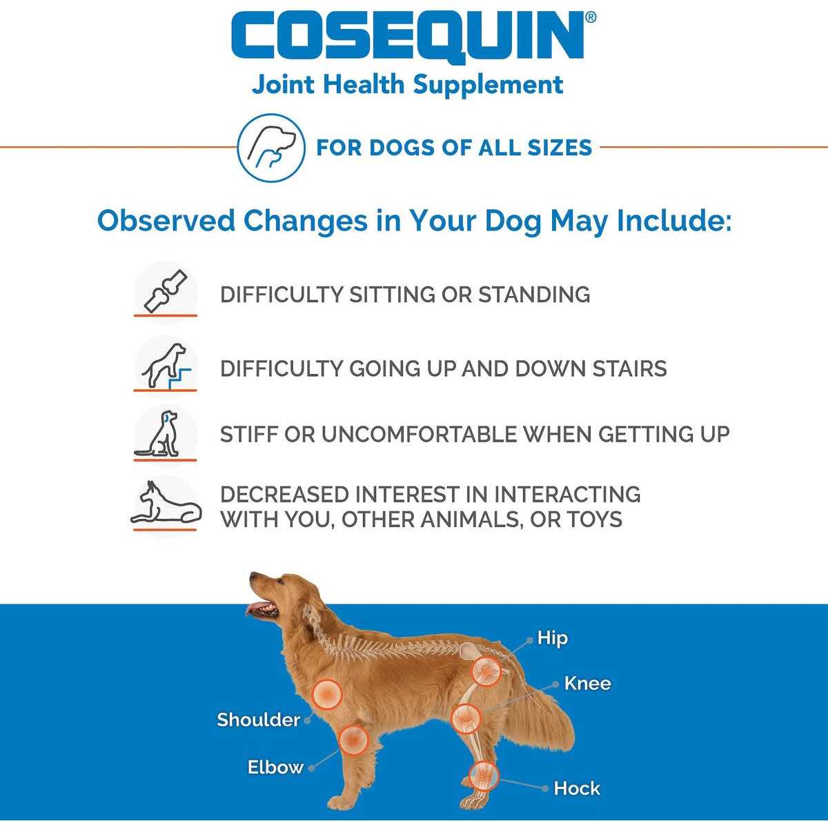 Joint Health Supplement for Senior Dogs I228