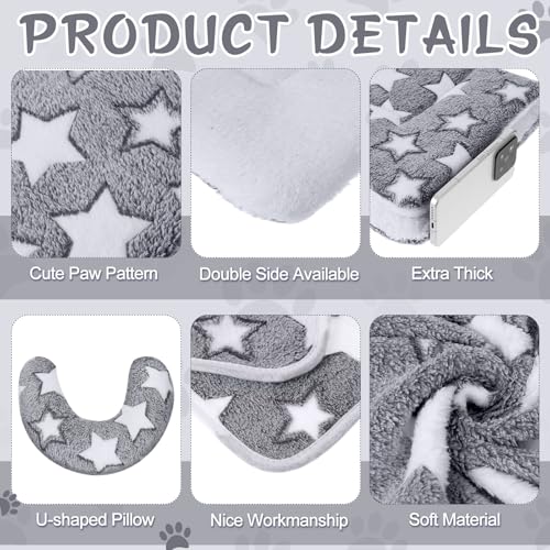 Christmas Pet Bed Mats with Puppy Dog Blankets and Pillows L76854