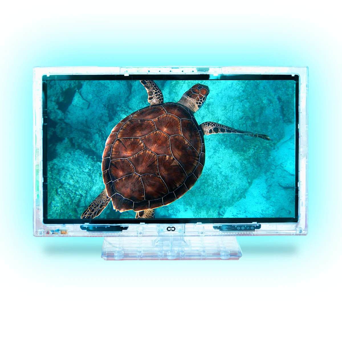 22-Inch Neon LED HD Television M690634