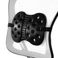 Lumbar Support A6413