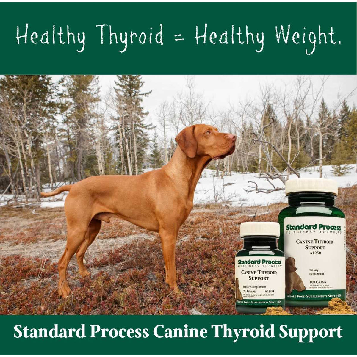 Thyroid Support Pet Supplies S880704