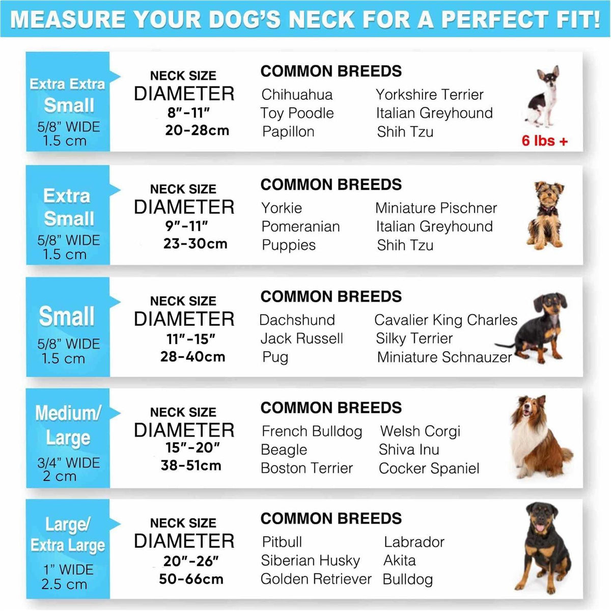 Reflective Dog Collar Small M879699