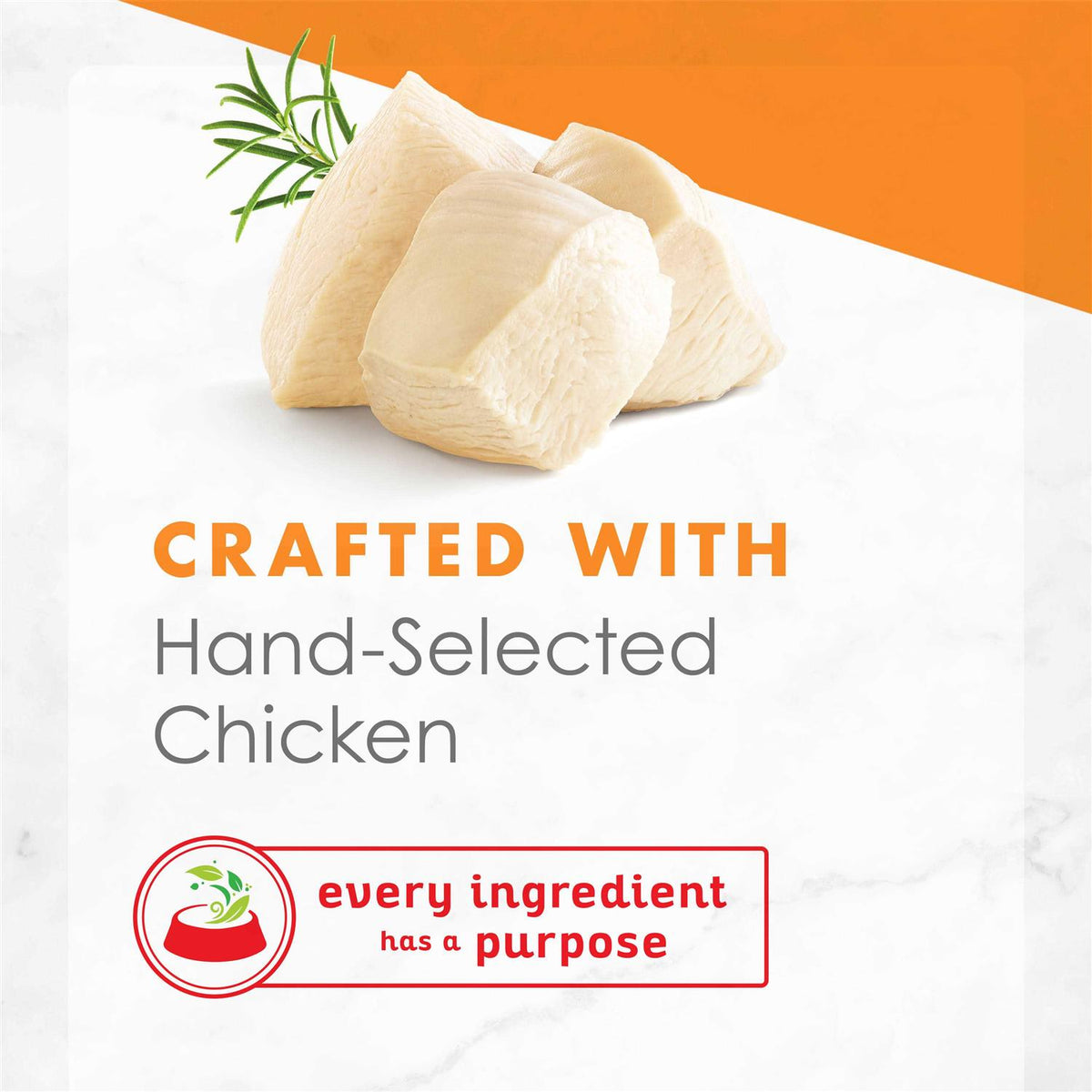 White Meat Chicken Broth Wet Cat Food N441267