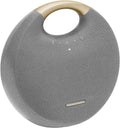 Gray Bluetooth Speaker with Handle J638739