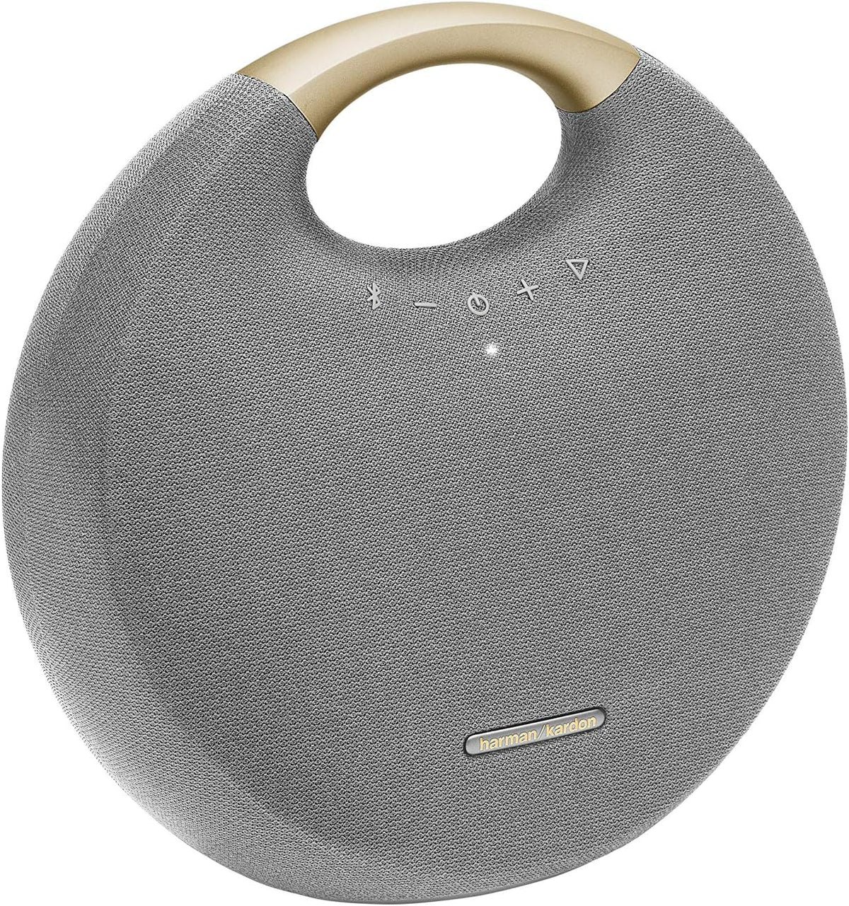 Gray Bluetooth Speaker with Handle J638739