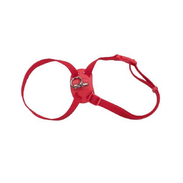 Adjustable Cat Harness P46582