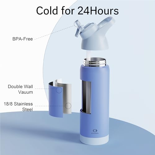 24 oz Black Insulated Stainless Steel Water Bottle with Straw A415