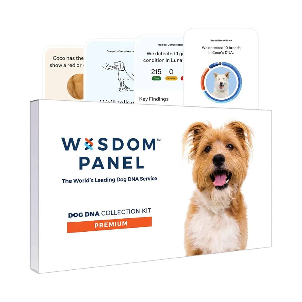 Dog Breed Identification DNA Test Kit T188