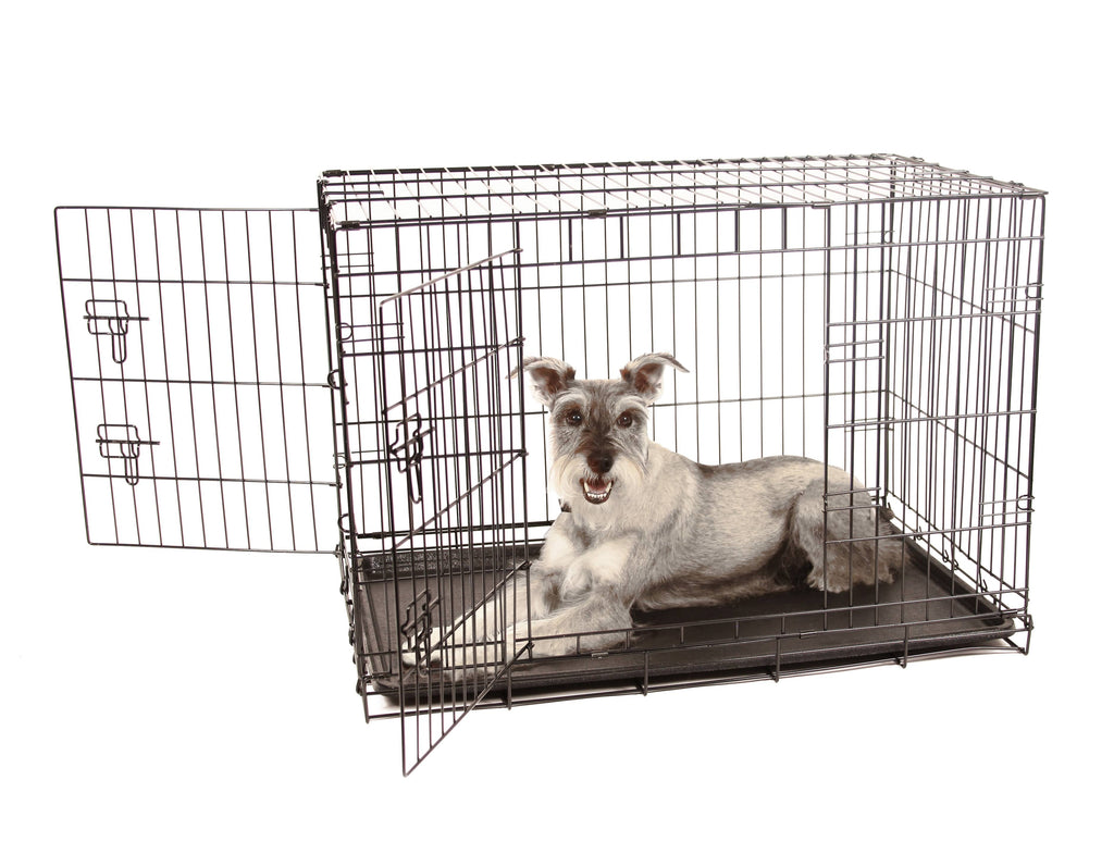 Double Door Metal Dog Crate C23685