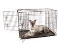 Double Door Metal Dog Crate C23685