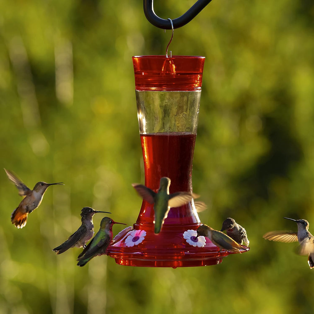 Glass Hummingbird Feeder, 5 Feeding Stations, 20 Ounces N898976