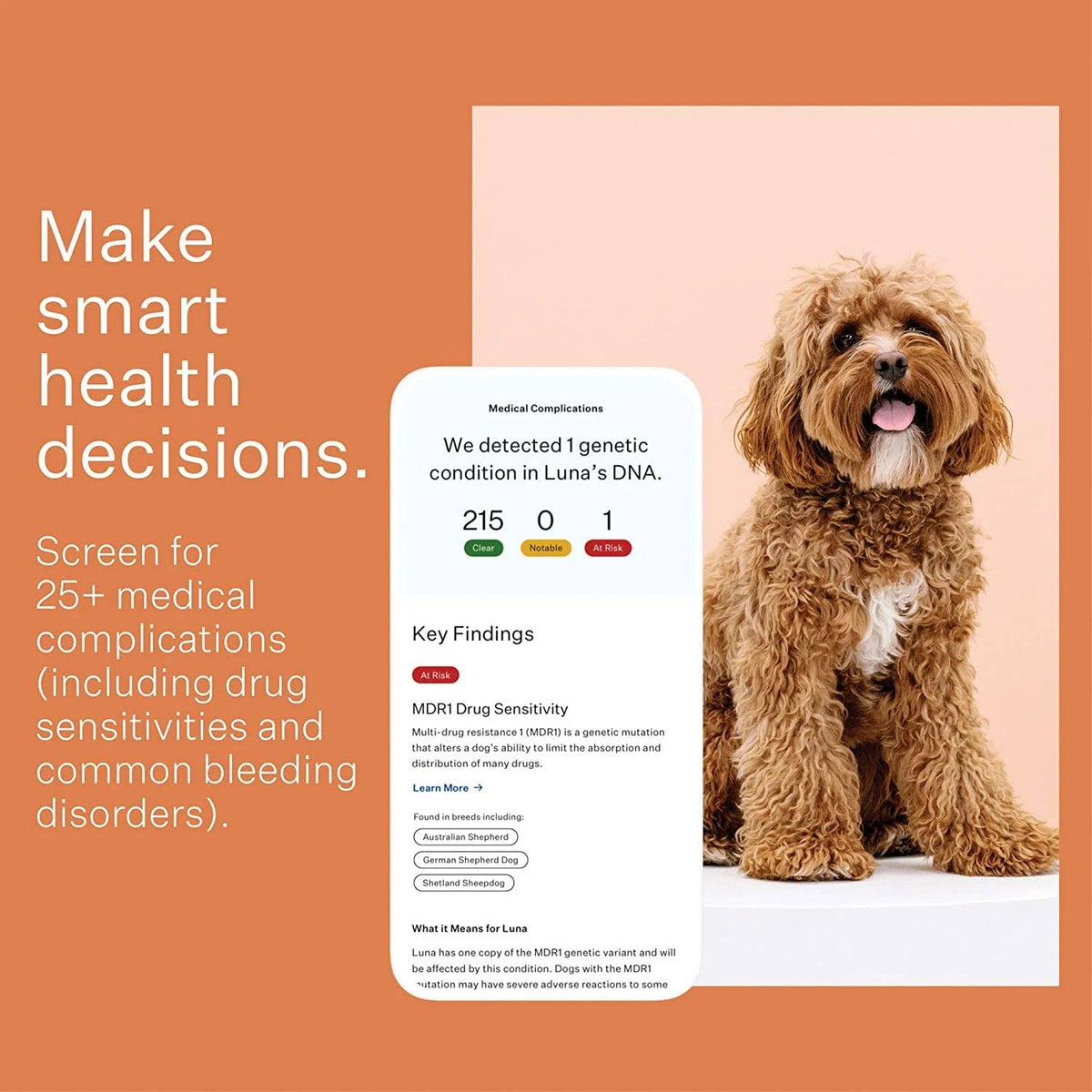 Dog Breed Identification DNA Test Kit T188