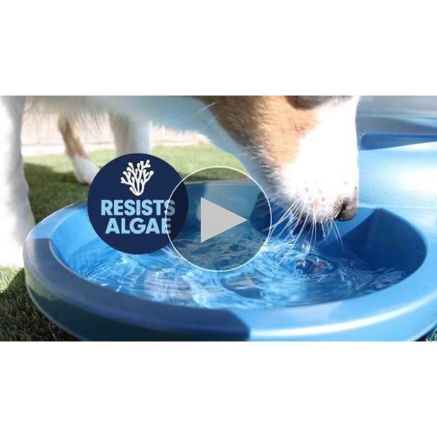 Outdoor Water Bowl W430072