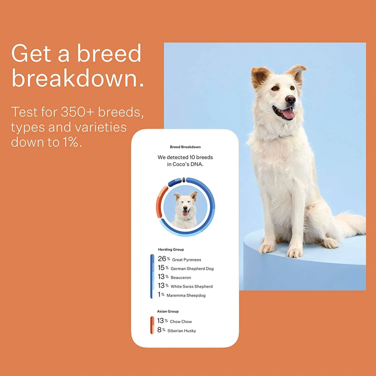 Dog Breed Identification DNA Test Kit T188