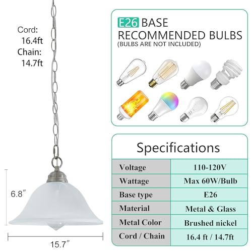 Black Hanging Pendant Light with Alabaster Glass Shade D35225